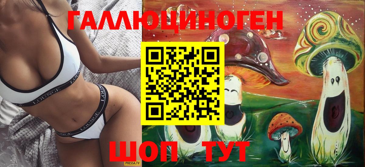 Биробиджан  Псилоцибиновые грибы GOLDEN TEACHER  Вход с VPN 